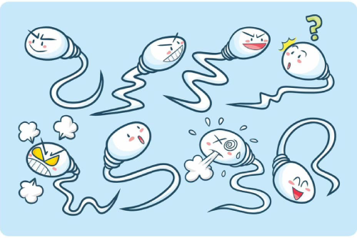 Địa Chỉ Chữa Bệnh Tinh Trùng Hiệu Qủa Pleiku Gia Lai Địa Chỉ Chữa Bệnh Tinh Trùng Hiệu Qủa Pleiku Gia Lai