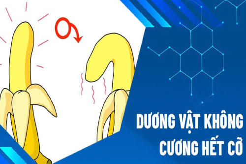 Dấu Hiệu Rối Loạn Cương Dương Nam Giới Cần Chú Ý Dấu Hiệu Rối Loạn Cương Dương Nam Giới Cần Chú Ý