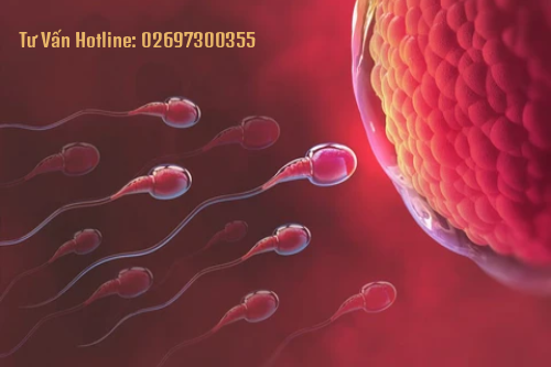 Nguy Hiểm Như Thế Nào Khi Tinh Trùng Có Màu Đỏ Nguy Hiểm Như Thế Nào Khi Tinh Trùng Có Màu Đỏ
